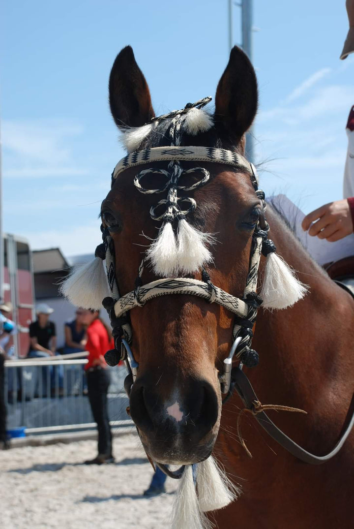 show bridle hitched